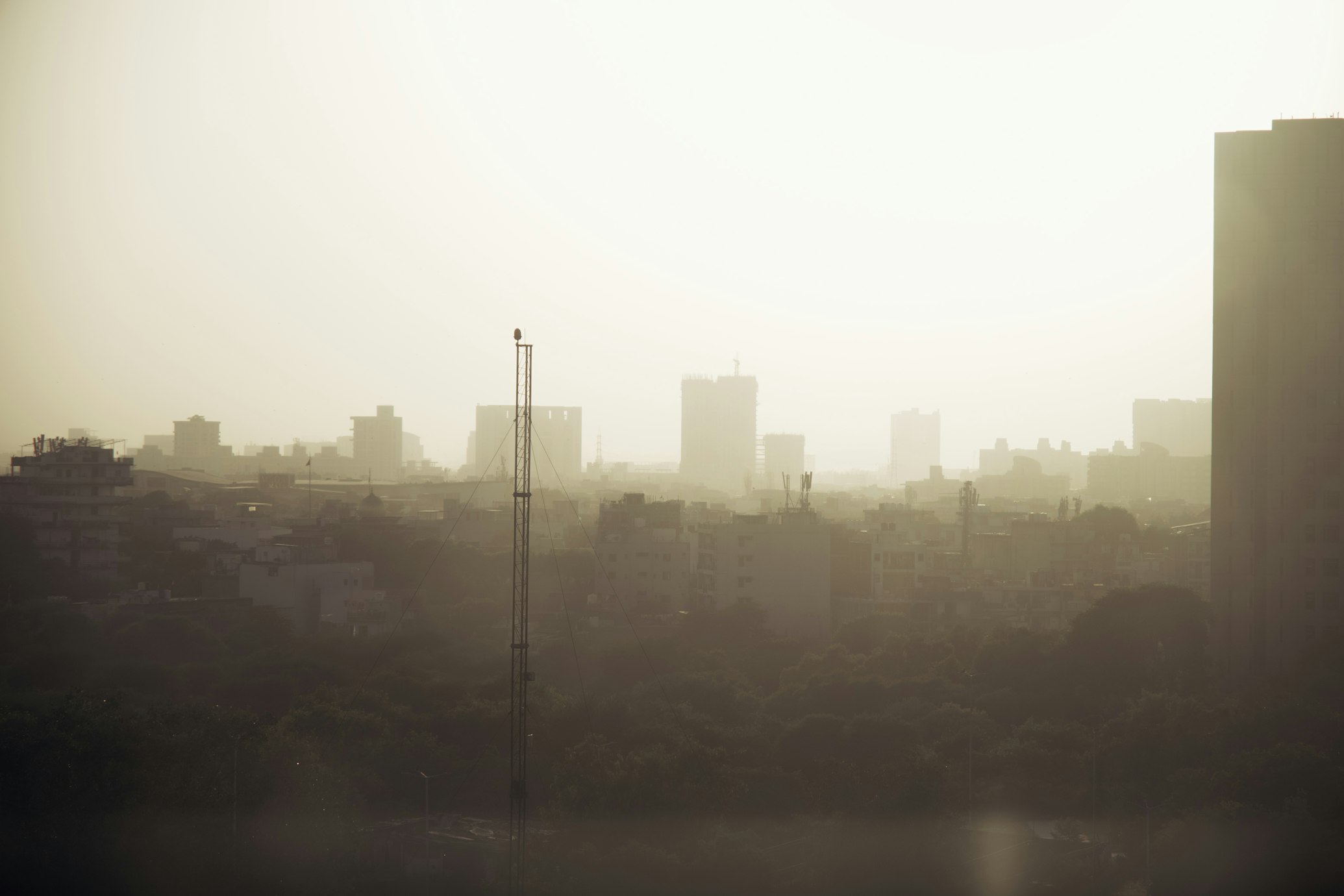 photo-1733509484202-baaa1a5ea0ae